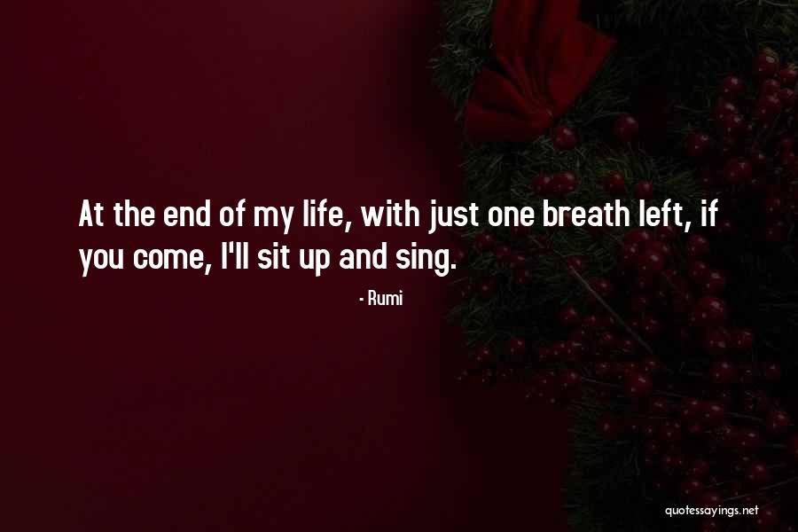 Irishmen In Civil War Quotes By Rumi Irishmen In Civil War Quotes By Rumi