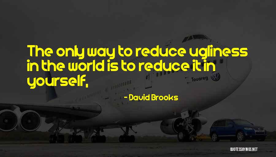 Irma Lair Quotes By David Brooks