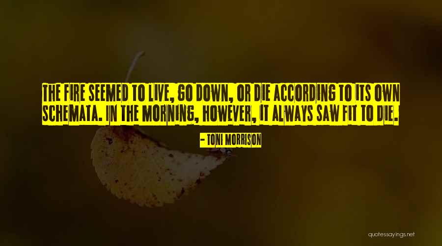 Irmanie Quotes By Toni Morrison Irmanie Quotes By Toni Morrison