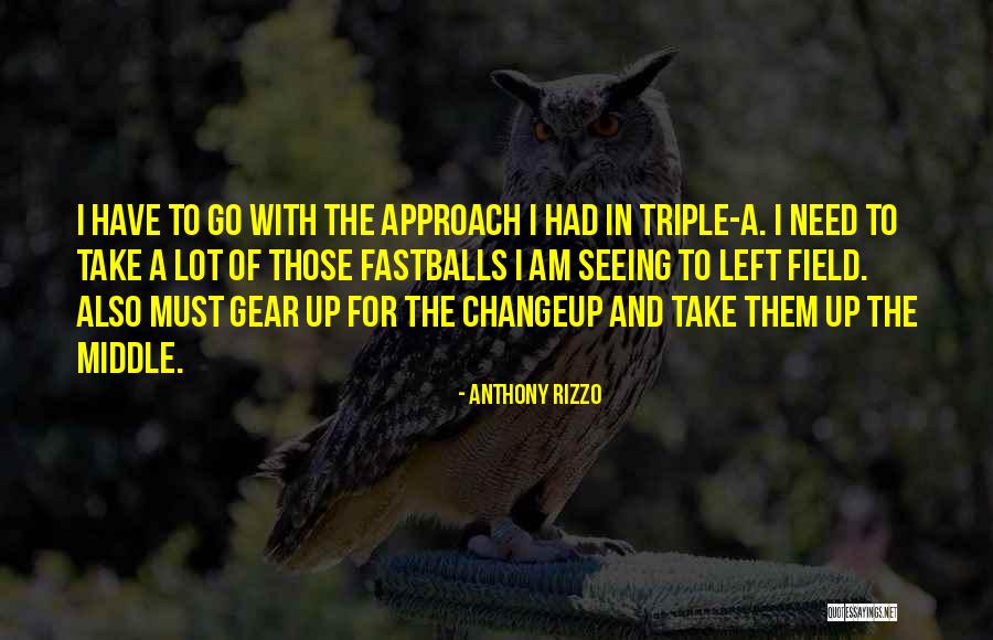 Irmela Quotes By Anthony Rizzo Irmela Quotes By Anthony Rizzo