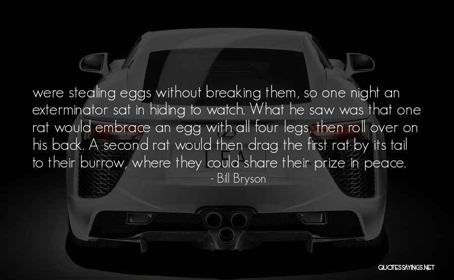 Irmina Boulier Quotes By Bill Bryson Irmina Boulier Quotes By Bill Bryson