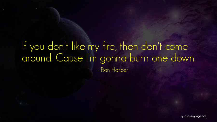Irmingard Mayer Quotes By Ben Harper Irmingard Mayer Quotes By Ben Harper