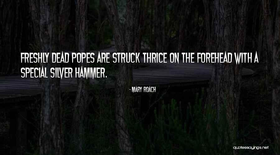 Iroh Voice Quotes By Mary Roach Iroh Voice Quotes By Mary Roach