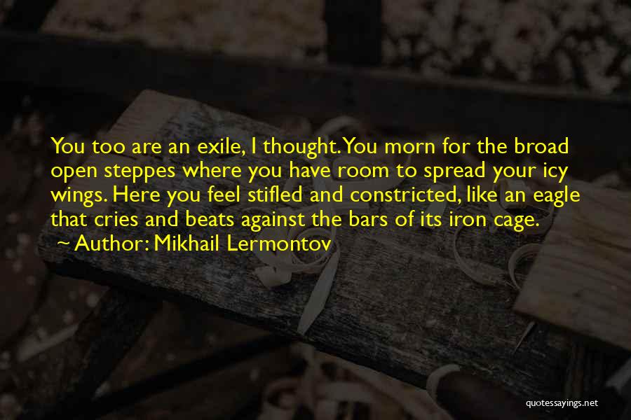 Iron Eagle Quotes By Mikhail Lermontov