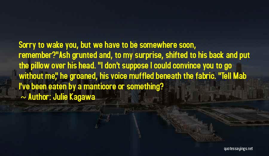 Iron Fey Quotes By Julie Kagawa