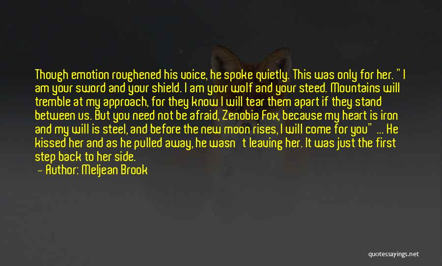 Iron Heart Quotes By Meljean Brook