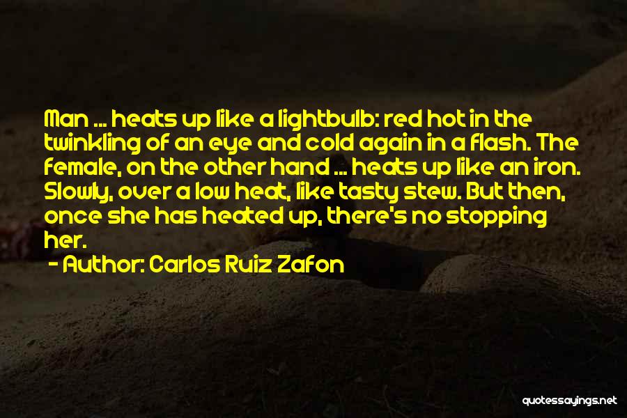 Iron Man Love Quotes By Carlos Ruiz Zafon