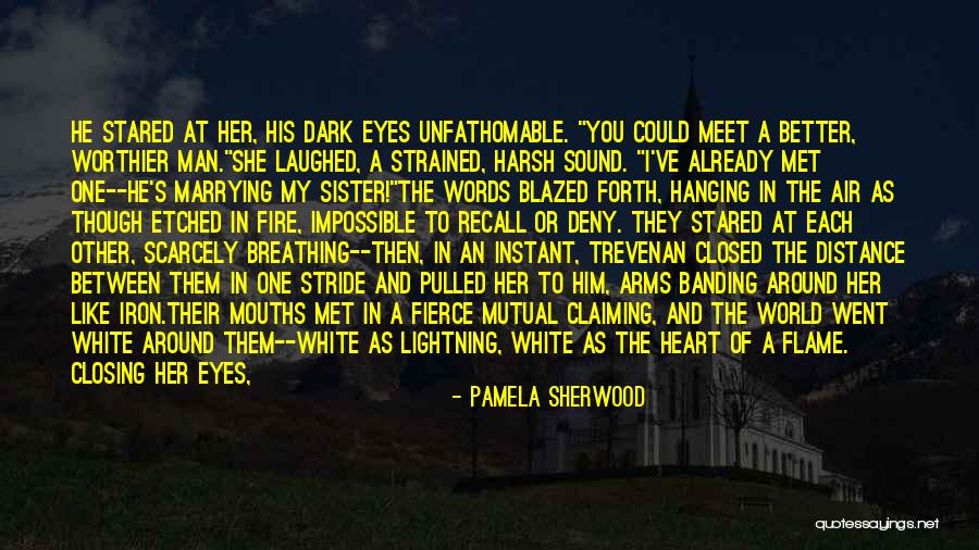 Iron Man Love Quotes By Pamela Sherwood