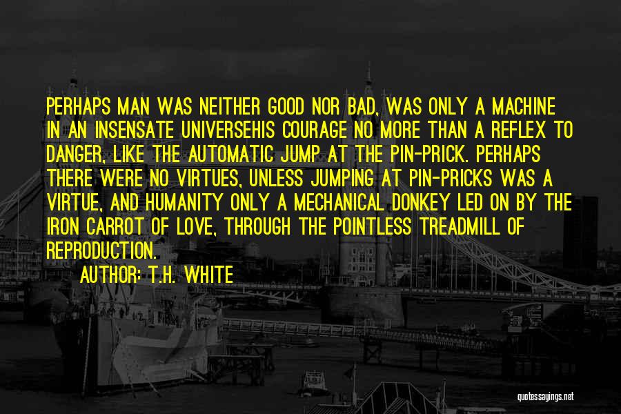 Iron Man Love Quotes By T.H. White