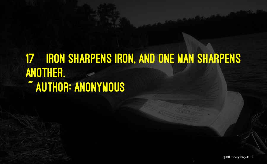 Iron Man Quotes By Anonymous