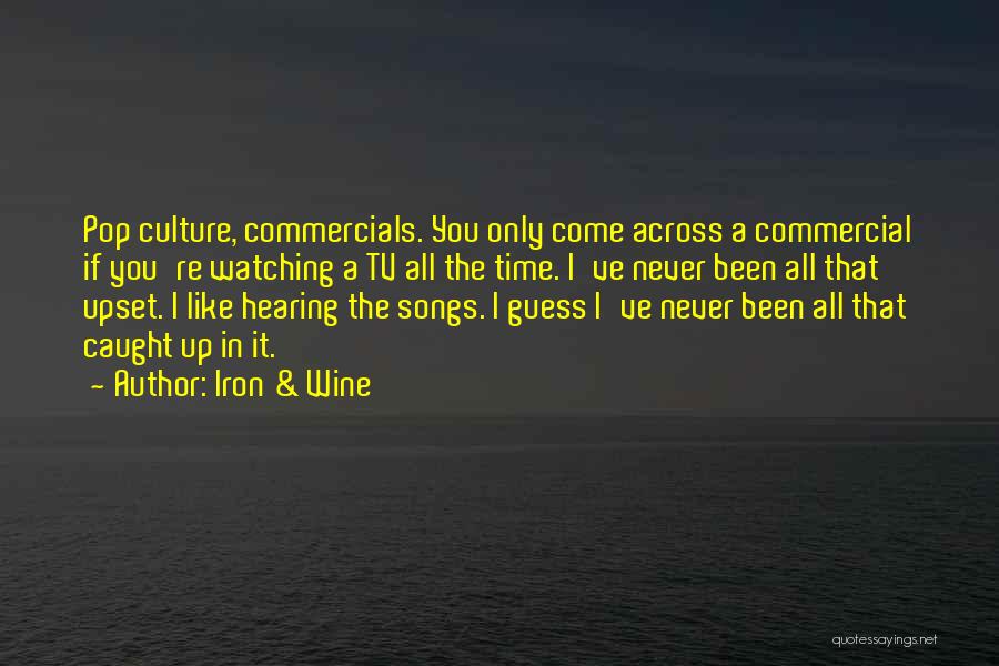 Iron & Wine Quotes 2179116