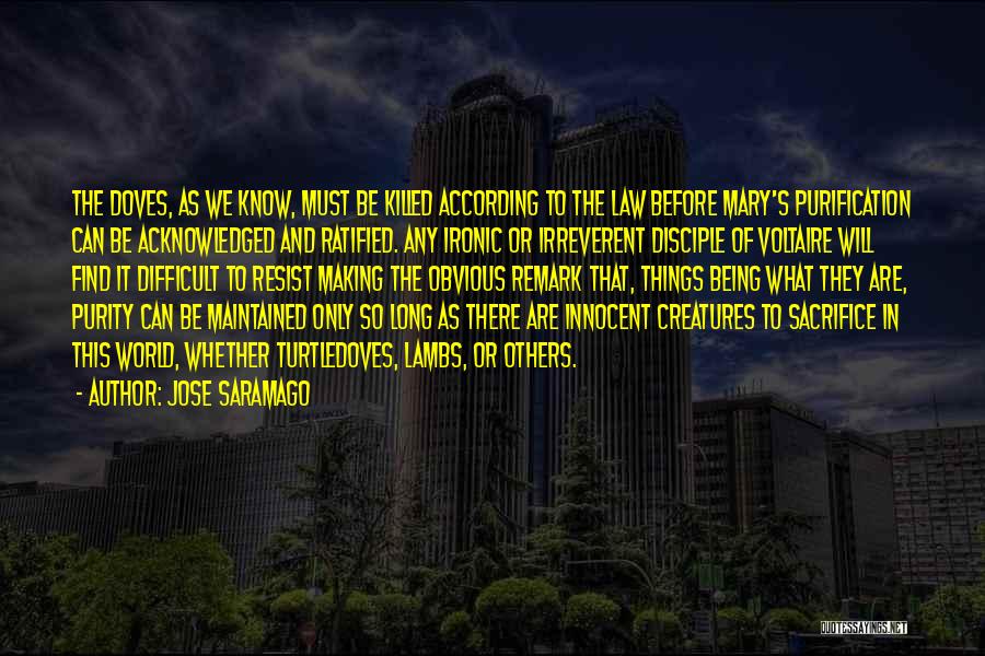 Ironic Things Quotes By Jose Saramago