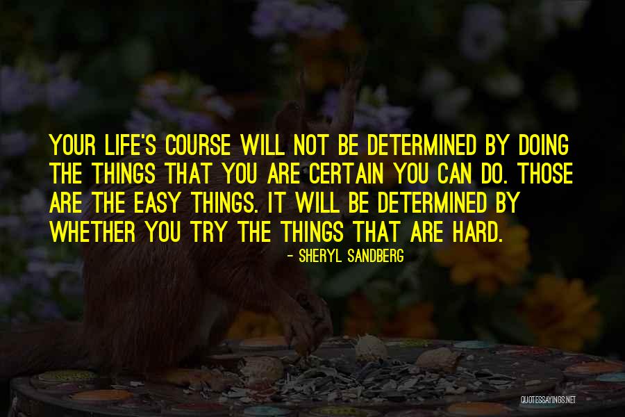 Ironik Stay Quotes By Sheryl Sandberg Ironik Stay Quotes By Sheryl Sandberg