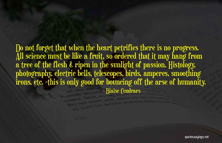 Irons Quotes By Blaise Cendrars Irons Quotes By Blaise Cendrars