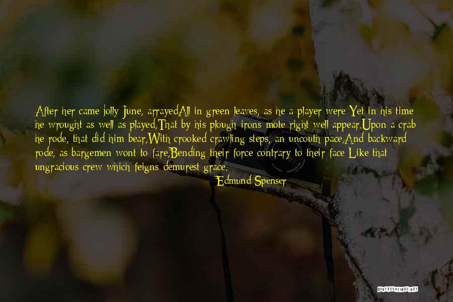 Irons Quotes By Edmund Spenser