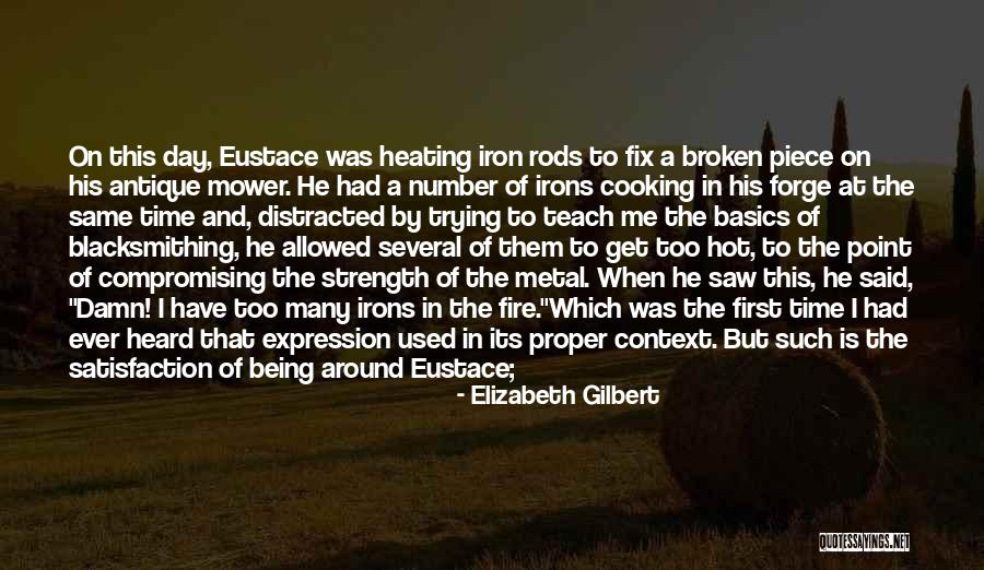 Irons Quotes By Elizabeth Gilbert Irons Quotes By Elizabeth Gilbert