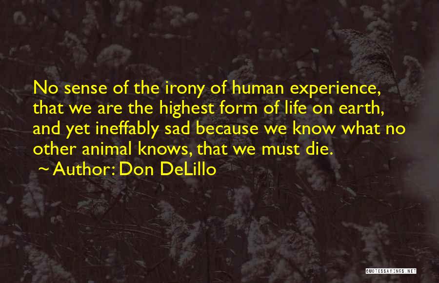 Irony And Death Quotes By Don DeLillo