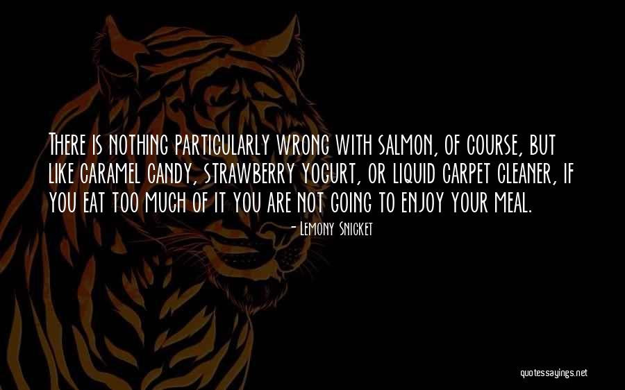 Irrationnal Quotes By Lemony Snicket Irrationnal Quotes By Lemony Snicket