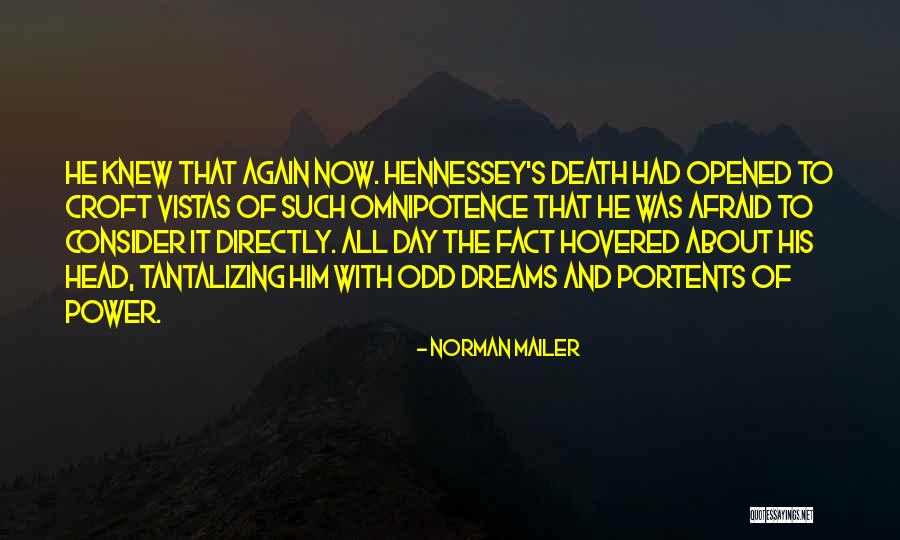 Irrazionalita Quotes By Norman Mailer Irrazionalita Quotes By Norman Mailer
