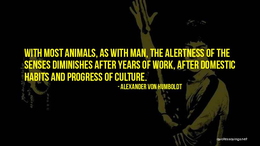Irreemplazable Beyonce Quotes By Alexander Von Humboldt Irreemplazable Beyonce Quotes By Alexander Von Humboldt