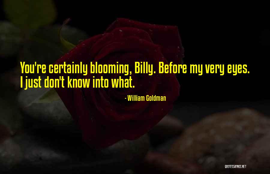 Irrefragable That Cannot Be Refuted Quotes By William Goldman Irrefragable That Cannot Be Refuted Quotes By William Goldman