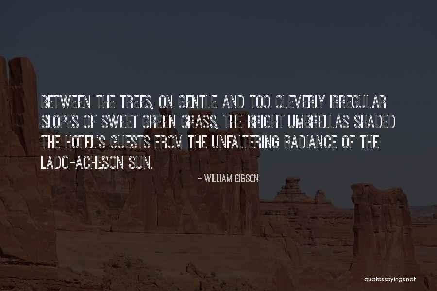 Irregular Quotes By William Gibson