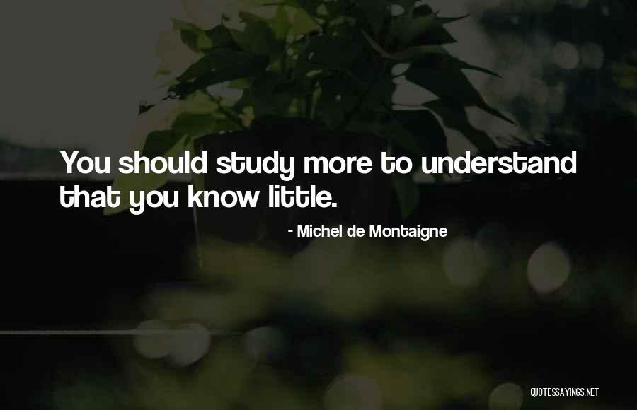 Irregularity Of Bowels Quotes By Michel De Montaigne Irregularity Of Bowels Quotes By Michel De Montaigne
