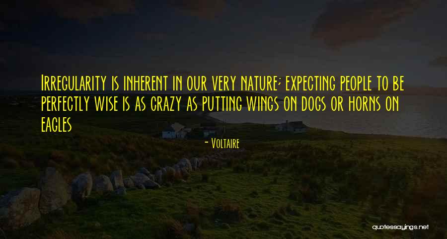 Irregularity Quotes By Voltaire