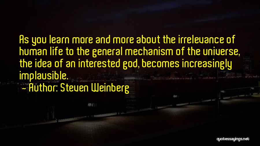 Irrelevance Quotes By Steven Weinberg