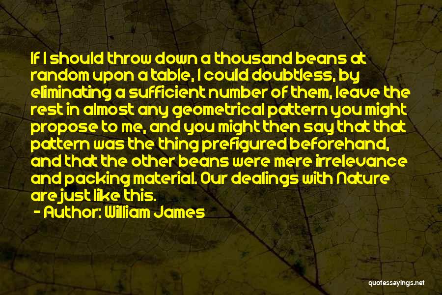 Irrelevance Quotes By William James