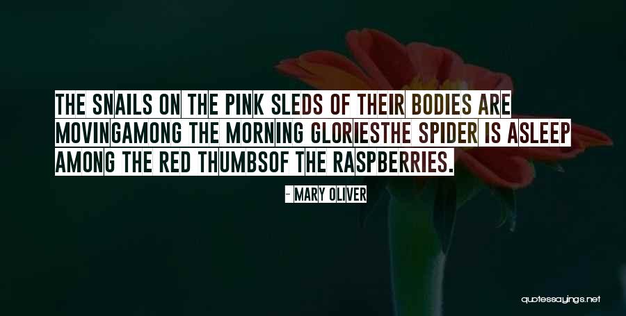 Irremovable Synonym Quotes By Mary Oliver Irremovable Synonym Quotes By Mary Oliver