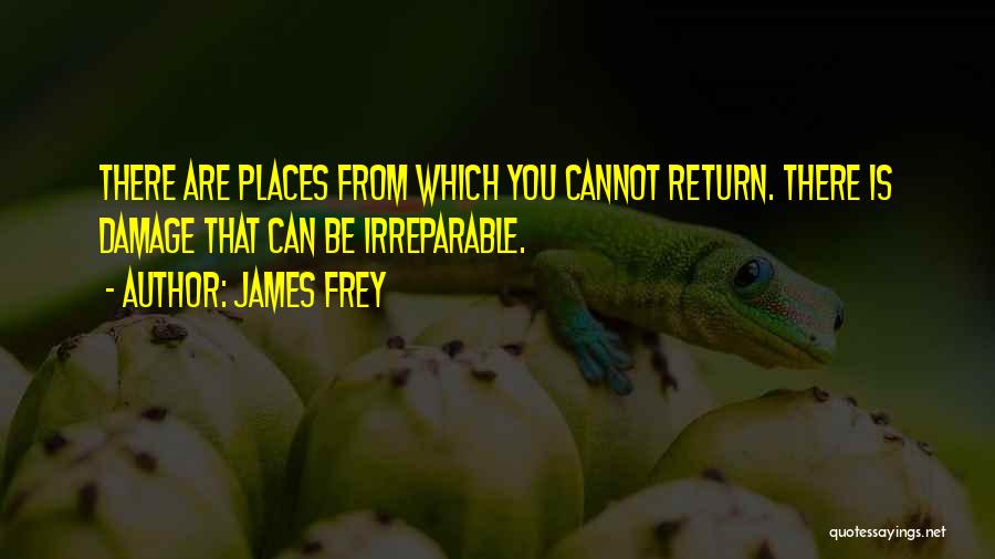 Irreparable Damage Quotes By James Frey