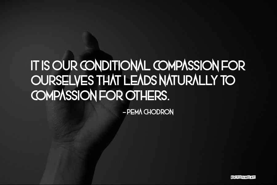Irreprehensible Define Quotes By Pema Chodron Irreprehensible Define Quotes By Pema Chodron