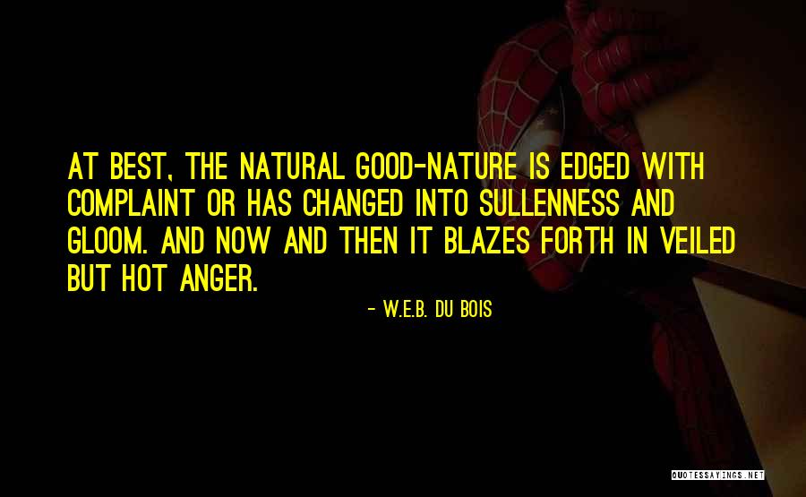 Irreprehensible Define Quotes By W.E.B. Du Bois Irreprehensible Define Quotes By W.E.B. Du Bois