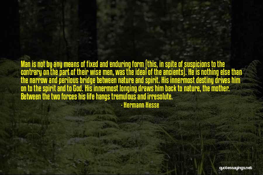 Irresolute Quotes By Hermann Hesse Irresolute Quotes By Hermann Hesse