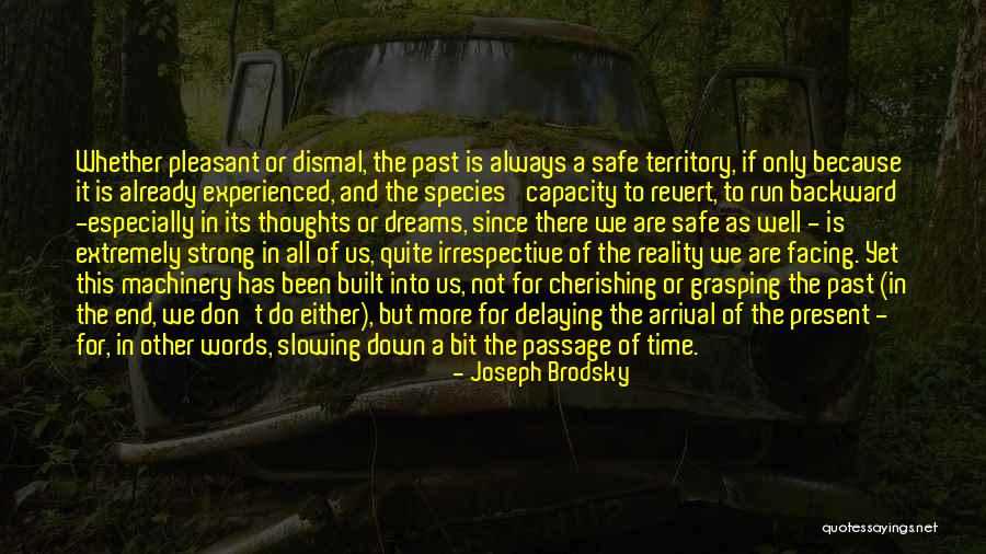 Irrespective Of Whether Quotes By Joseph Brodsky Irrespective Of Whether Quotes By Joseph Brodsky