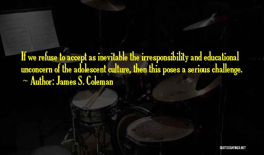 Irresponsibility Quotes By James S. Coleman