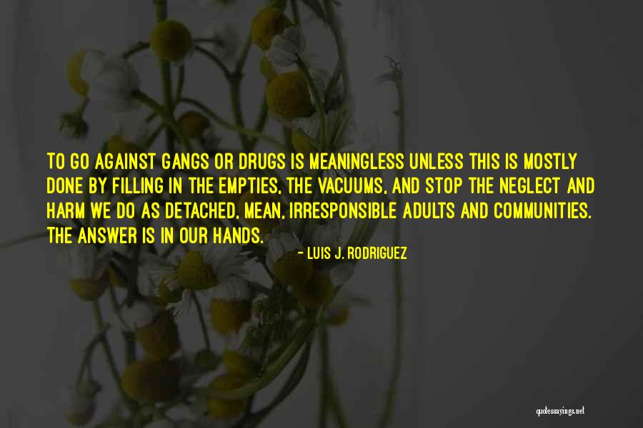 Irresponsible Adults Quotes By Luis J. Rodriguez