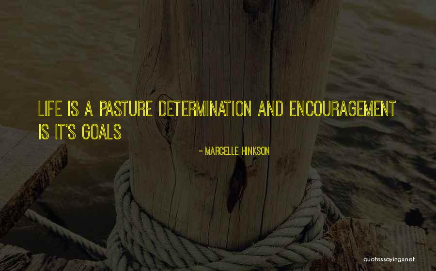 Irriated Quotes By Marcelle Hinkson Irriated Quotes By Marcelle Hinkson