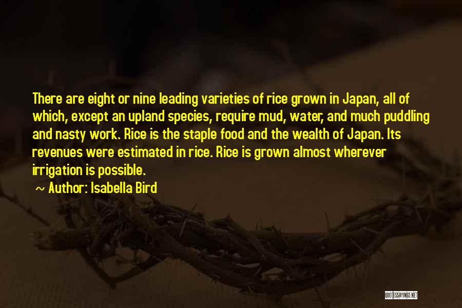 Irrigation Quotes By Isabella Bird