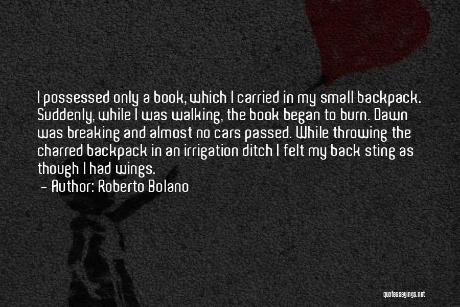 Irrigation Quotes By Roberto Bolano
