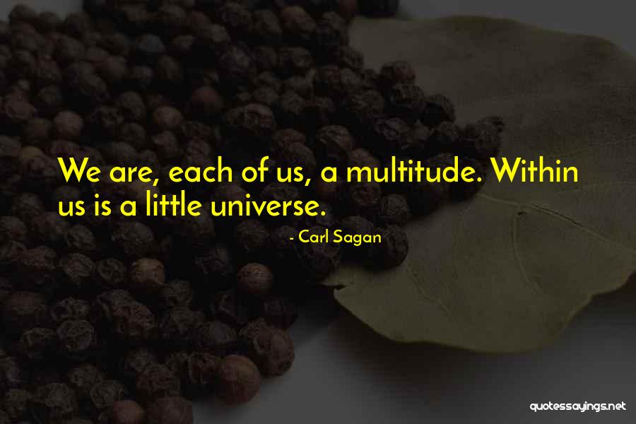 Irrisorio Quotes By Carl Sagan Irrisorio Quotes By Carl Sagan