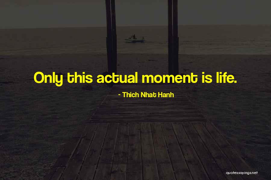 Irritabis Quotes By Thich Nhat Hanh