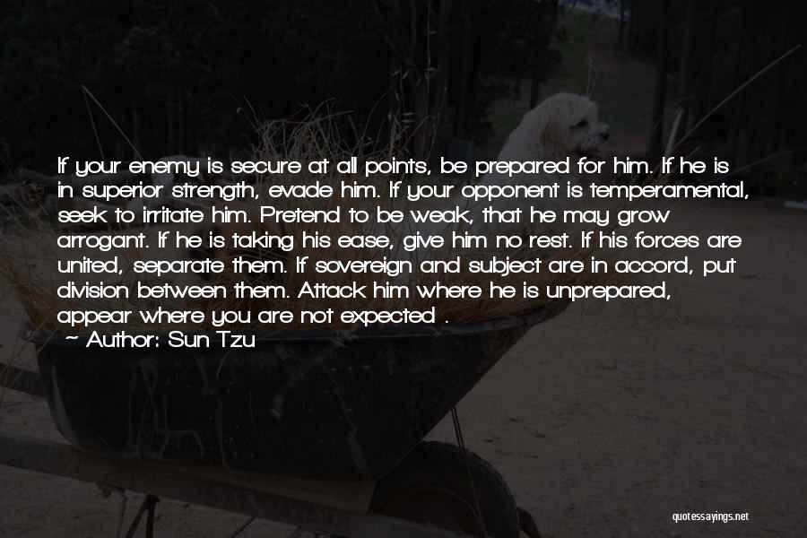 Irritate You Quotes By Sun Tzu