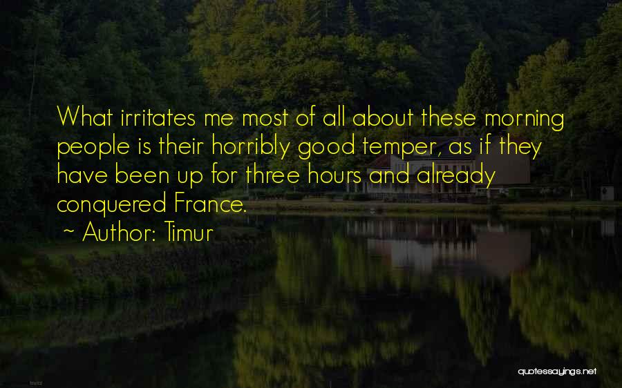 Irritates Me Quotes By Timur