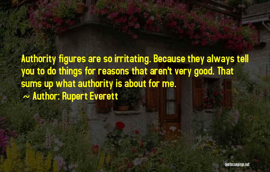 Irritating Things Quotes By Rupert Everett