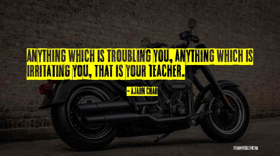 Irritating You Quotes By Ajahn Chah Irritating You Quotes By Ajahn Chah