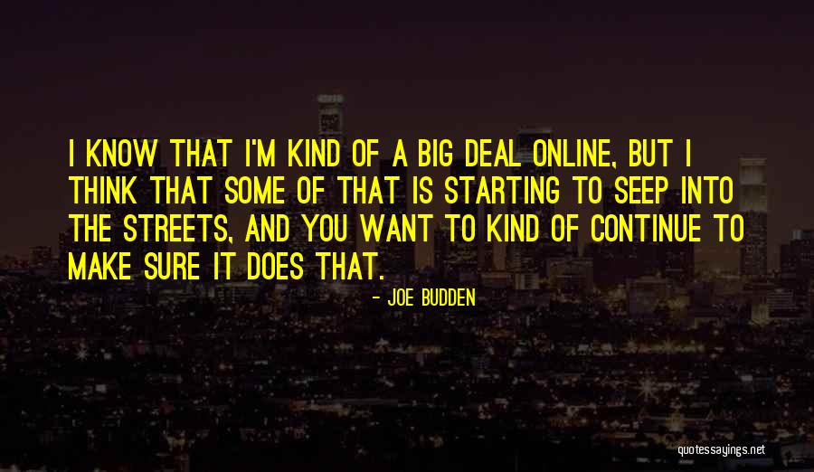 Irute Aleknaviciene Quotes By Joe Budden Irute Aleknaviciene Quotes By Joe Budden