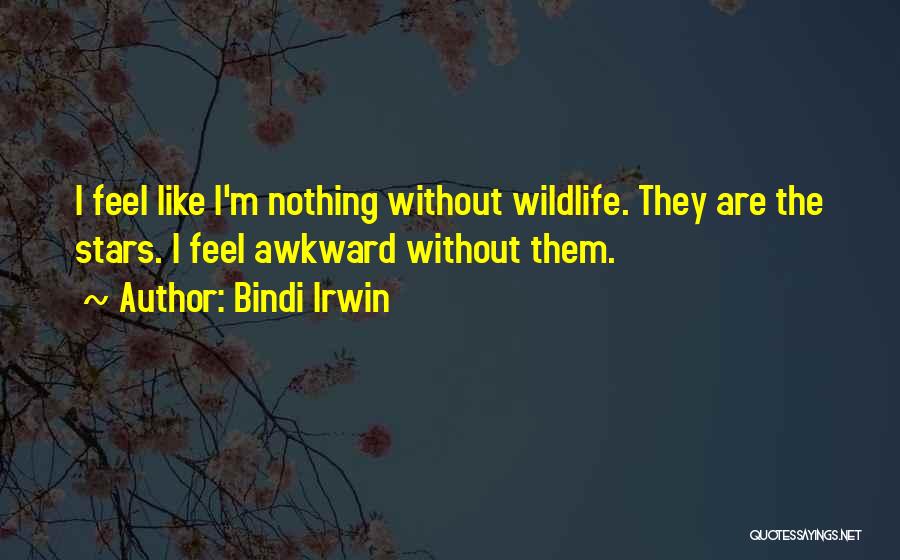 Irwin Quotes By Bindi Irwin