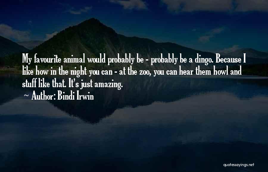 Irwin Quotes By Bindi Irwin